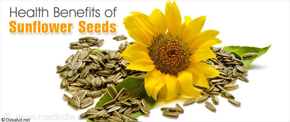 Las semilla de girasol y sus beneficios para la salud